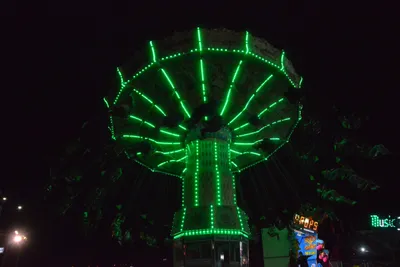 DSC_7798 (Large).JPG